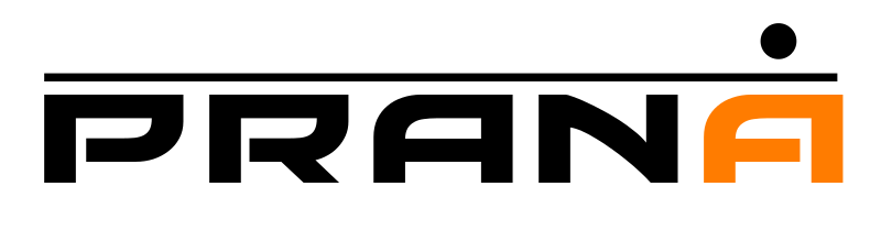 Prana_Animation_Studios_Logo_in_Vector_(Better).svg